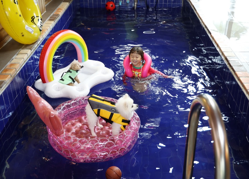 숙박대전(반려동물 펜션) (1).JPG